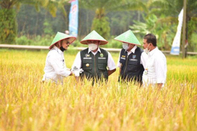 Pemprov DKI Gandeng Kementan Gelar Pasar Murah Kebutuhan Pangan