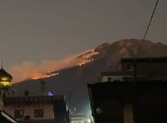 Karhutla Landa Sejumlah Gunung, Pemadaman Terkendala Medan