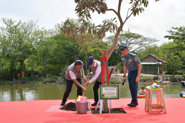 Tanam Pohon Nyata Turunkan Emisi: Pulihkan Lahan Degradasi