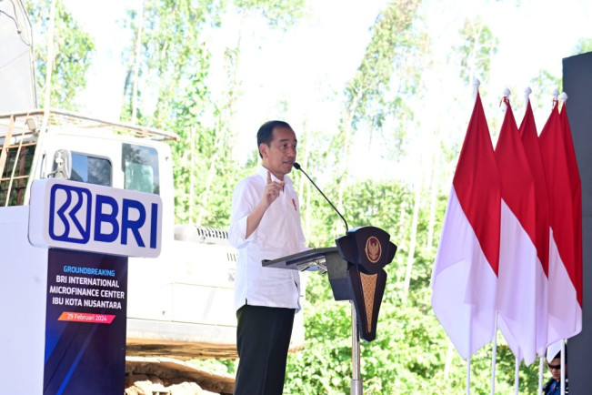 Jokowi: Banyak Investor Antre Mau Investasi di IKN