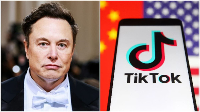 Terancam Diblokir di AS, TikTok Ditawarkan ke Elon Musk