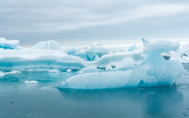 Ilustrasi/Foto: pexels.com
