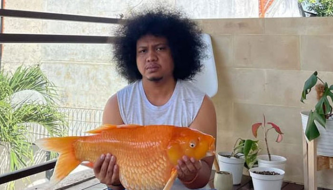 Pandji Lelang Trading Card Almarhum Babe Cabita Untuk Anak Pasien Kanker
