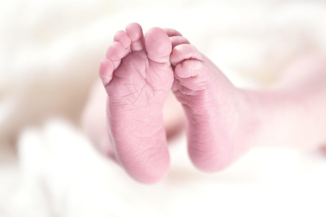 Bayi. (Pixabay @sowwwww)