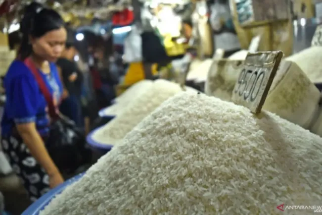 Harga Beras Masih Mahal, Ini Penjelasan Bulog