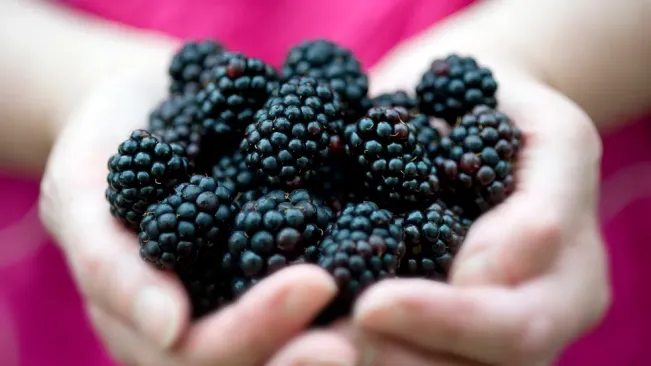 6 Buah Tinggi Protein, Bisa Kembangkan Massa Otot
