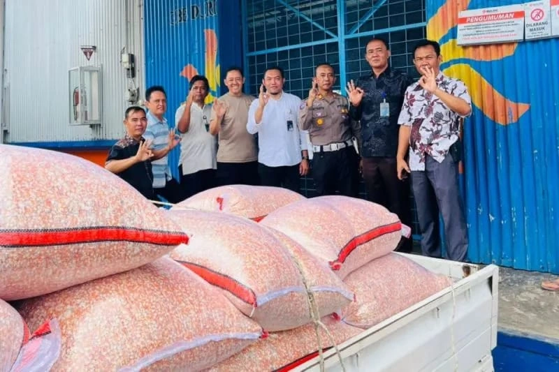 Hasil Panen Jagung Dipastikan Laku, Bulog Rejang Lebong Siapkan Dana untuk Serap 1.650 Ton