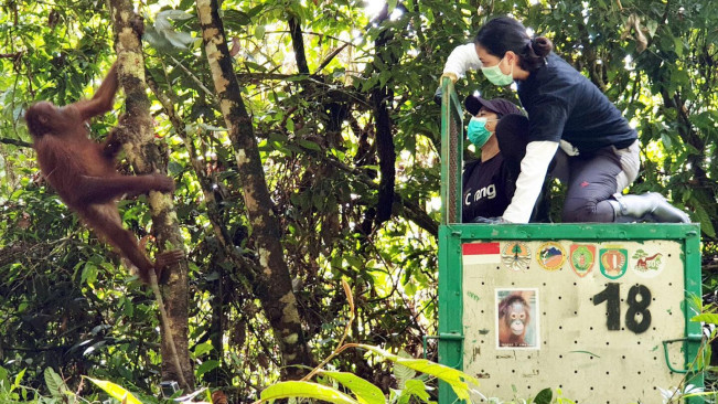 Melihat Petualangan Sherina di Dunia Nyata, Jalan-Jalan Sampai ke Dalam Hutan