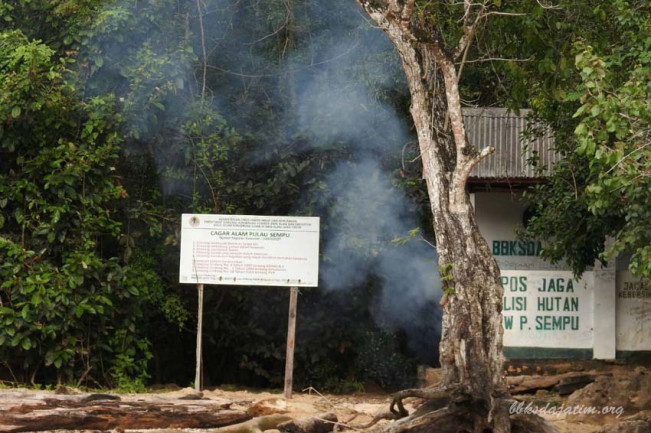 Ada Apa di Pulau Sempu? Lokasi Mahasiswa IPB Ditemukan Meninggal