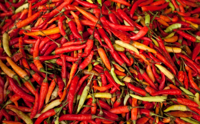 Dampak Bencana Sumut-Sumbar: Harga Cabai di Riau dari Rp40 Ribu Melonjak Rp150 Ribu pe-Kg