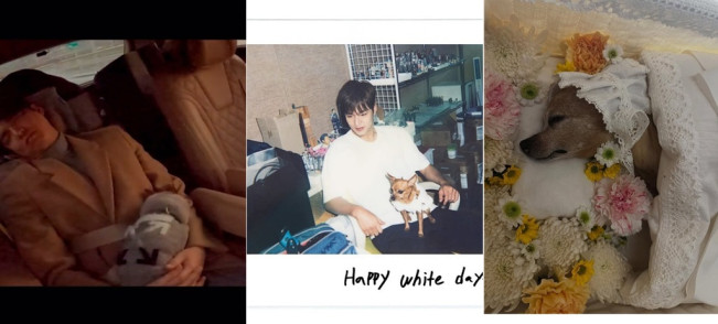 Lee Min Ho dan anjing peliharaannya, Choco. (Instagram)