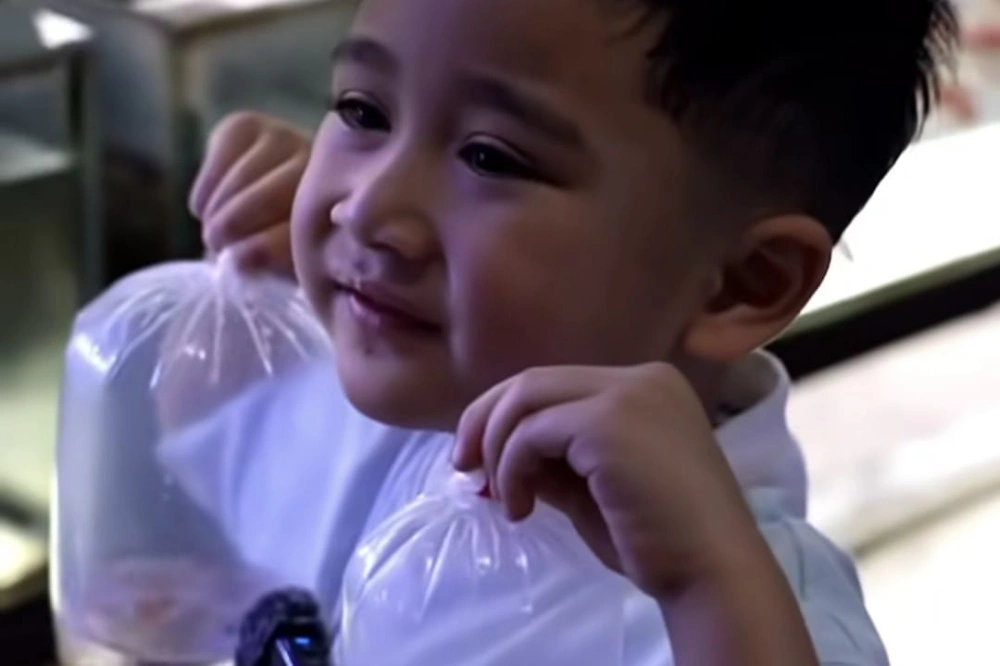 Fenomena Cipung Gabisa Bayar, Dari Video Lucu hingga Viral