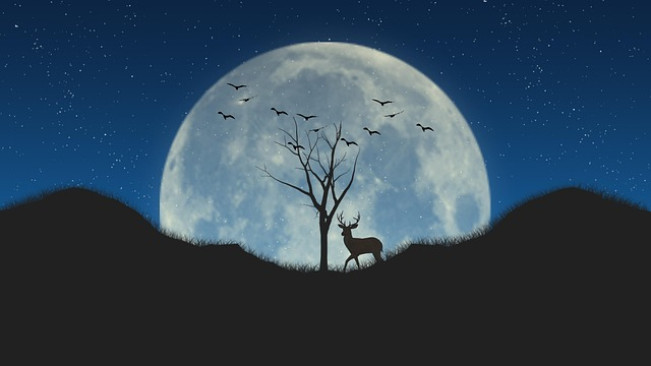 Benarkah Lailatul Qadar Terjadi saat Malam Terasa Begitu Tenang?