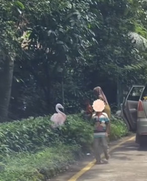 Taman Safari Indonesia Bogor Blacklist Pengunjung yang Keluar Mobil di Area Satwa