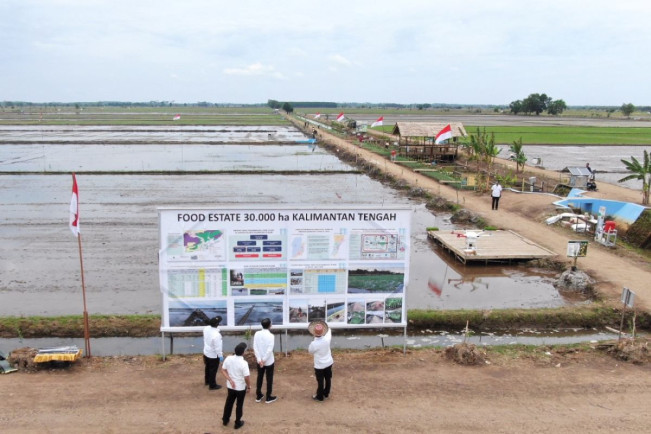 6 Faktor "Food Estate" di Indonesia Gagal, Salah Satunya Anomali Iklim