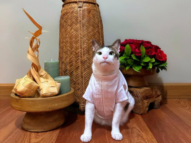 Ucapkan Selamat Idul Fitri 1446 Hijriah, Baju Koko Bobby Kartanegara Bikin Salfok : Kira-kira Harganya Berapa ya?