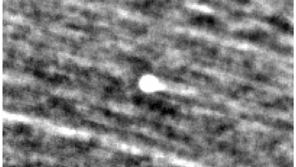 Gambar komet 31/ATLAS. [nasa.gov]