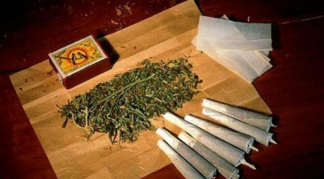 Polisi Tangkap Pengedar Ganja di Samosir, Ini Barang Buktinya