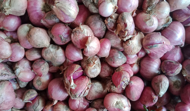 Dongkrak Produksi Bawang Merah, BRIN Usulkan Pakai AI