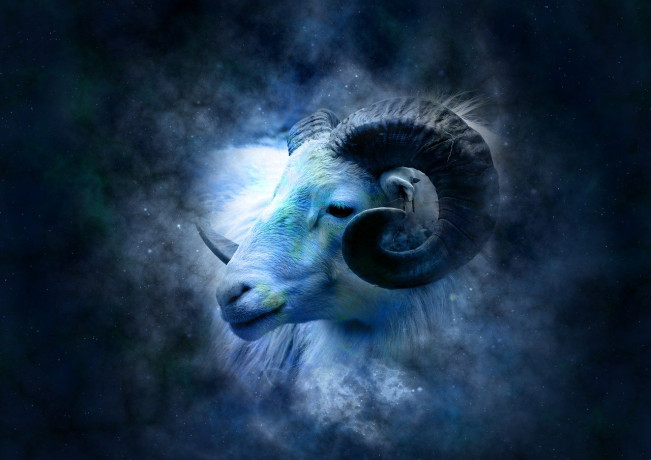 Ilustrasi Shio Kambing (Pixabay)