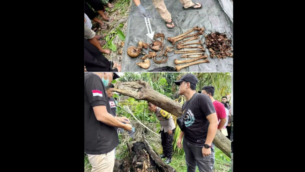 Warga Dusun I Desa Pamatang Ganjang menemukan kerangka manusia di dalam batang pohon aren. [TikTok]