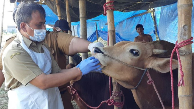 Jelang Hari Raya Kurban, 3.000 SKKH Dikeluarkan Pemkot Palembang