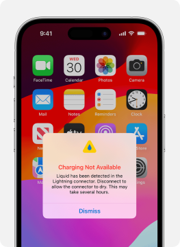 Apple: Jangan Keringkan iPhone di Dalam Beras!