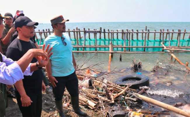 Abrasi Pantai Kramatsari Kian Parah, Ahmad Luthfi Instruksikan Perbaikan Tanggul Kandang Jangkrik