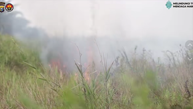 Karhutla Masih Melanda Sejumlah Wilayah, Riau Putuskan Perpanjang Tanggap Darurat hingga 14 Hari ke Depan