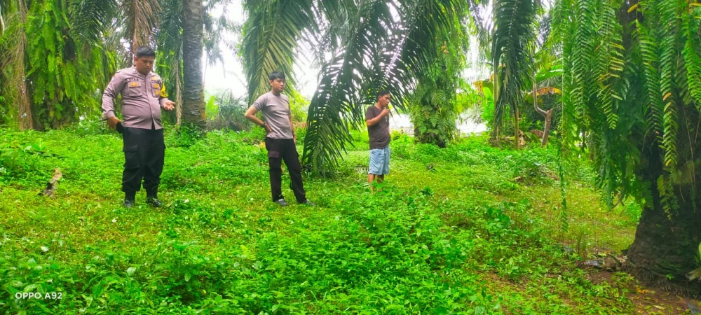 Gerak Cepat Polisi, Perampok Kasir Kedurang Ilir Ditangkap Kurang 24 Jam