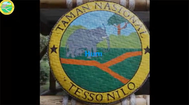 Kawasan Hutan Konservasi Tesso Nilo Riau/Foto: YouTube KTesso Nilo