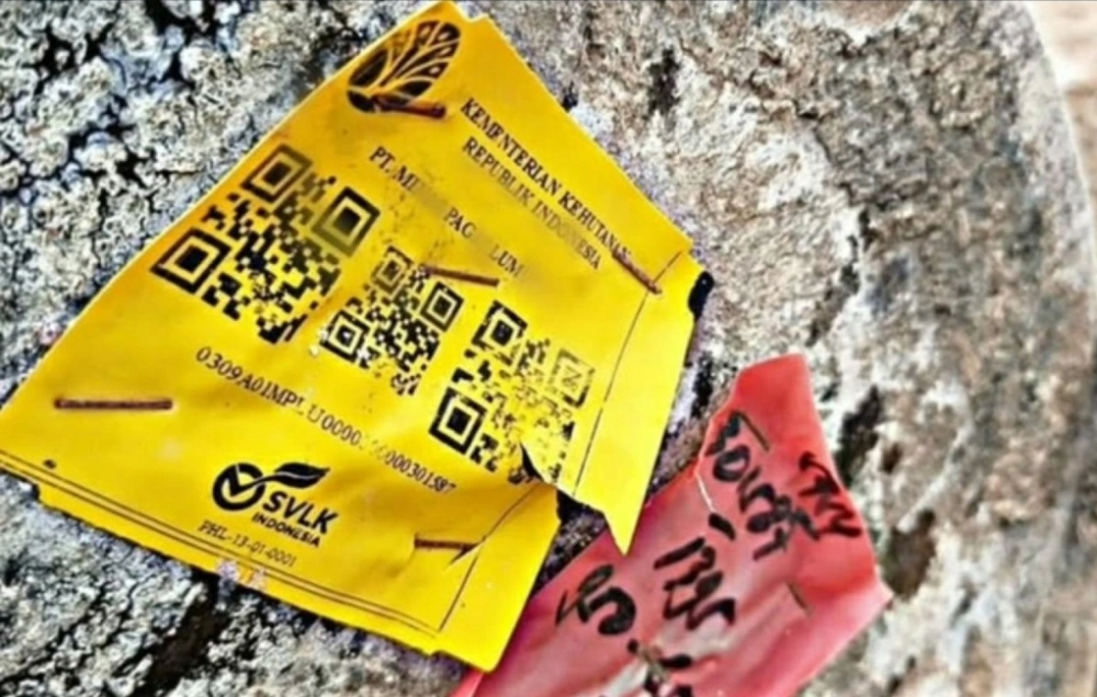 Stikernya Nempel di Kayu Gelondongan di Banjir Sumbar, PT Minas Pagai Lumber Punya Siapa?