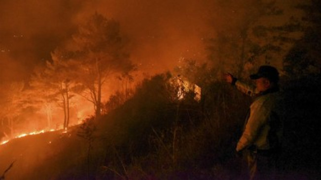 Kebakaran Hutan 2023 di Indonesia Tembus 1 Juta Hektare
