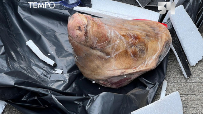 Istana Tidak Mau Dikaitkan dengan Teror Kepala Babi: Dimasak Saja!