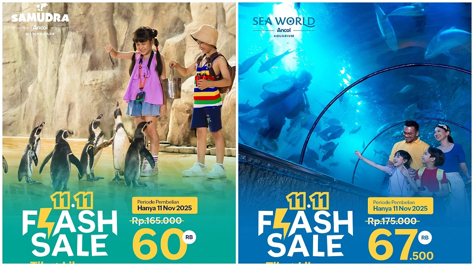 Kolase Promo Dufan Instagram 11.11 [instagram.com/ancoltamanimpian]