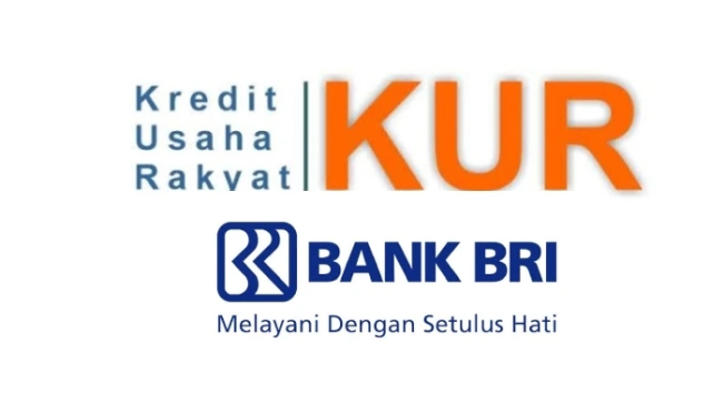 KUR BRI 2025 Resmi Dibuka: Cicilan Super Ringan, Mulai dari Rp21 Ribu per Bulan