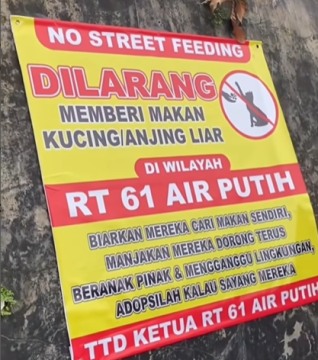 Larangan beri makan kucing liar. (TikTok)