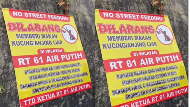 Viral Spanduk Larangan Beri Makan Kucing Liar, Kegiatan yang Bikin Kontroversi