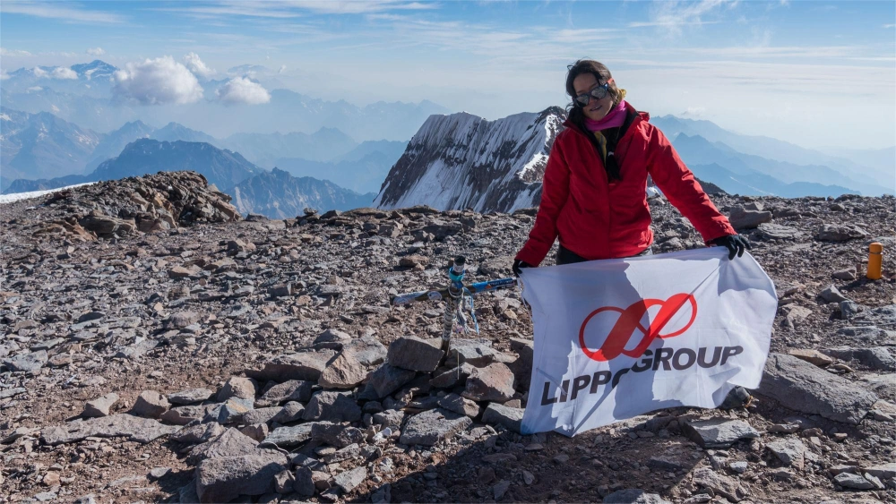 Lippo Grup. [lippogrup.com]