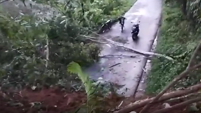 Jalan Lintas Kabupaten Lebong-Rejang Lebong Tertutup Material Longsor Setebal 6 Meter