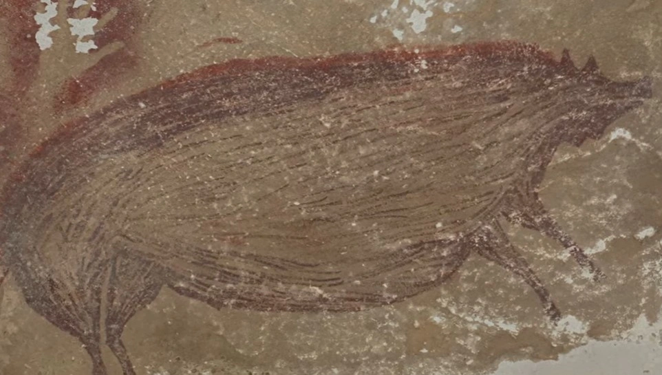 Lukisan binatang babi di gua Sulawesi berusia 51 200 tahun [Youtube]