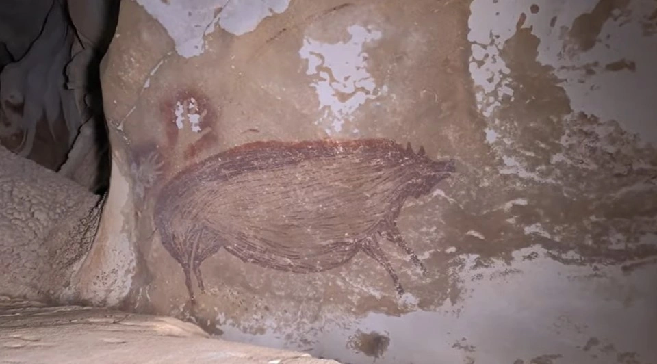 Lukisan binatang babi di gua Sulawesi yang ditaksir berusia 51 200 tahun [Youtube]