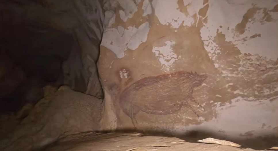 Temuan Guncang Arkeologi, Lukisan Babi 51.200 Tahun Ada di Sulawesi