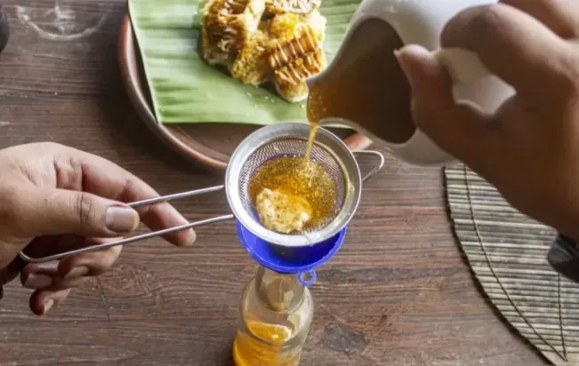 Madu Hutan, Kaya Antioksidan hingga Percepat Sembuhkan Luka