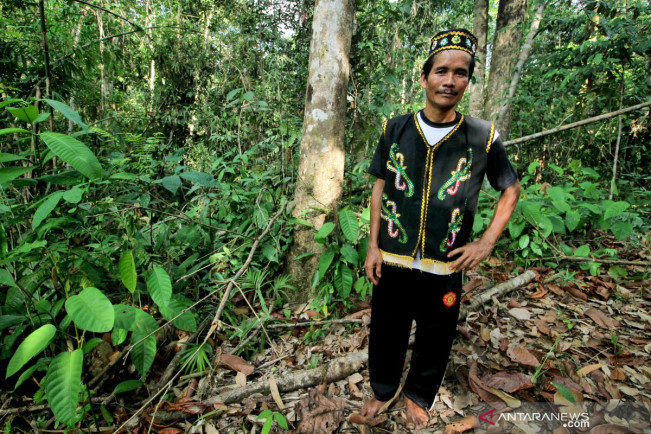 Rawan Ketidakadilan di HGU Perdagangan Karbon