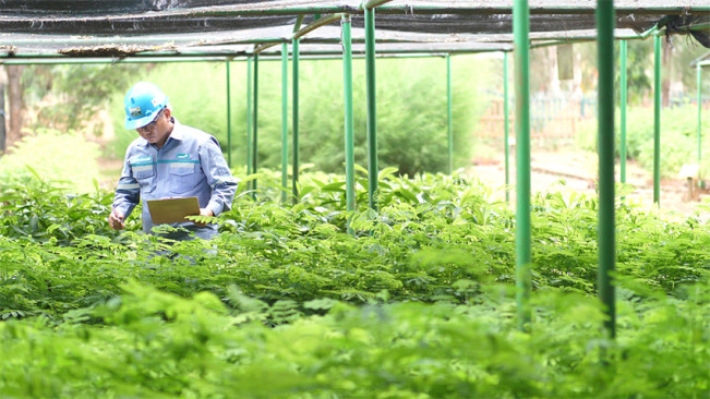 MIND ID Terapkan Cara Cerdas Menambang