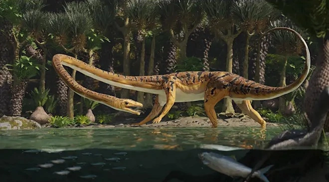 Naga leher panjang sempat disamakan dengan Tanystropheus. [Dotted Yeti]