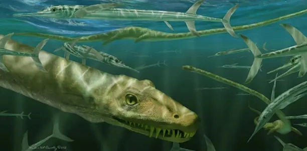 Seperti di Drama Xianxia, Naga Laut Leher Panjang Usia 240 Juta Tahun Ditemukan di China