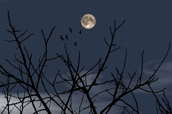 Ilustrasi malam satu suro (Pixabay)