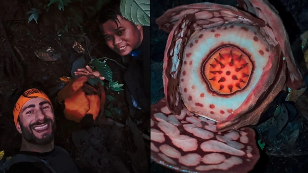 Netizen Indonesia ramai-ramai mengecam Oxford University. [X]